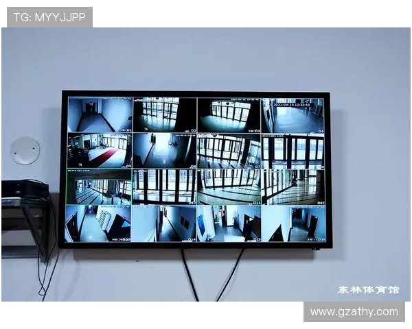 体育场馆智能化监控系统预警谈