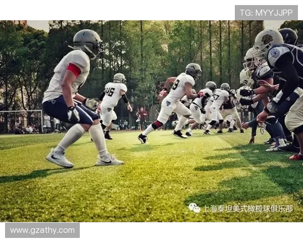 世界橄榄球锦标赛加踢动作的力学分析