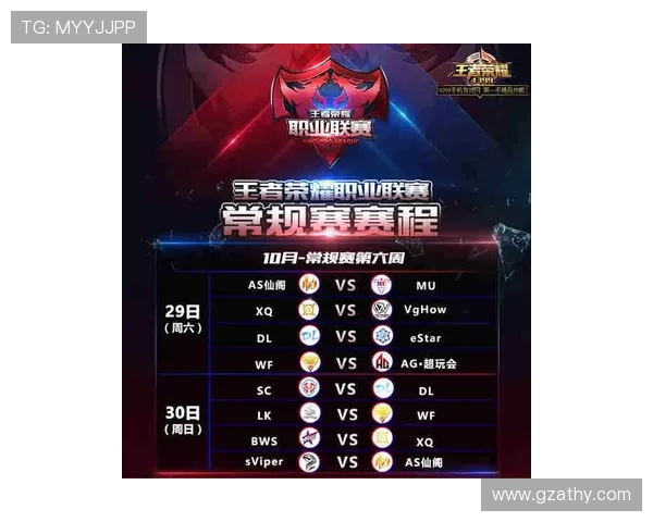 职业联赛赛事期间禁止入场物品清单